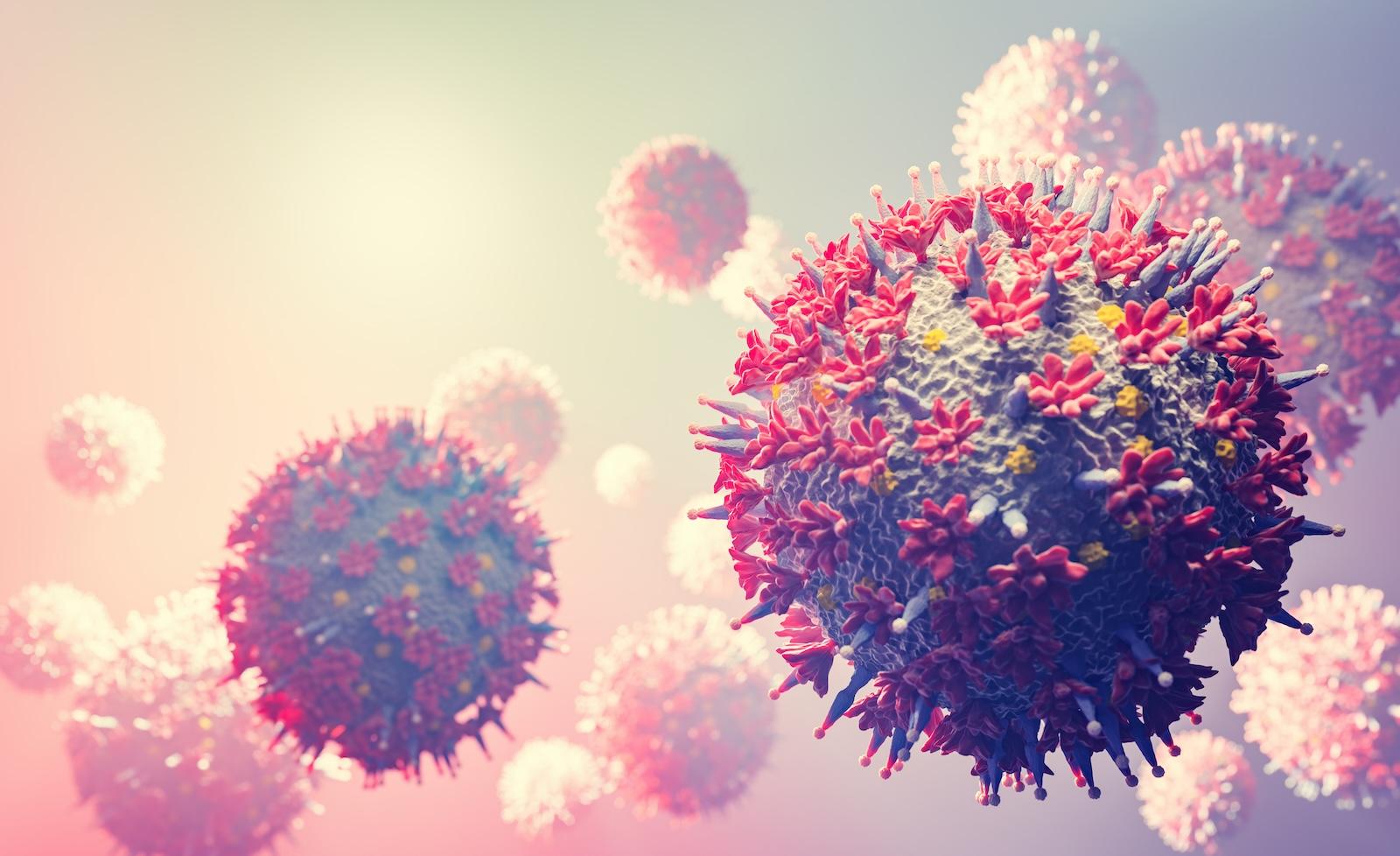 Bild zum Beitrag "Die Immunologie Klausur"